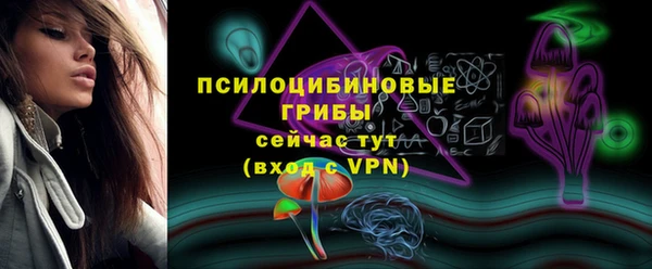 винт Богданович