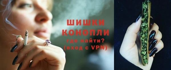 винт Богданович